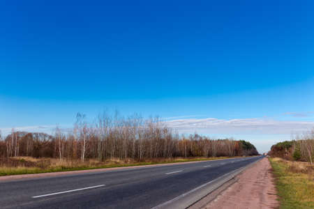 Local asphalt road among the forest and sparse growth of trees on background of clear sky with small amount of clouds on the horizon at late autumnの写真素材