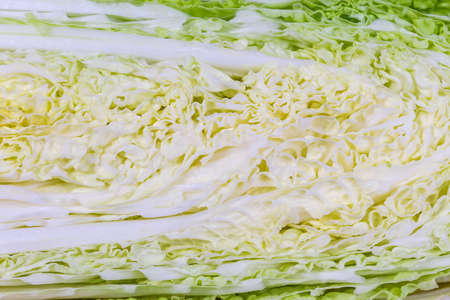 Background of the longitudinal section of napa cabbage head also known as chinese cabbage, close-upの写真素材