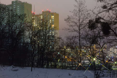 Night view of illuminated modern city with multistory residential buildings across the branches of trees of winter parkの写真素材