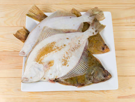 Several uncooked plaices also known as flatfish on white square dish on a wooden rustic table