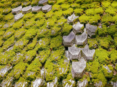 Background of roof of the wooden shingle covered with moss on an old wooden church of the St. Archangel Michael of 17th century in village Krainykovo, Zakarpattia Oblast, Ukraineの写真素材