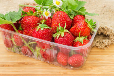 Fresh ripe garden strawberries with leaves and flowers in transparent plastic food container on a wooden surfaceの写真素材