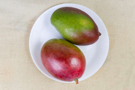 Two whole ripe mango fruits on the white dish on a textile surface, top viewの写真素材