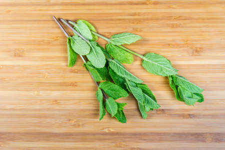 Twigs of the fresh garden mint on the bamboo wooden surface, top viewの写真素材