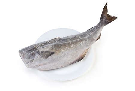 Frozen carcass of saithe, also known as coalfish without head on dish on a white background