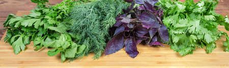 Fresh red basil, dill, cilantro, mint and parsley laid out on the wooden bamboo cutting board....