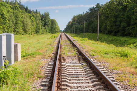 Single modern railroad tracks with concrete sleepers among the forestの写真素材