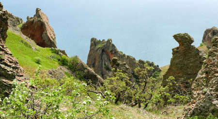Scenic coastal cliffs of volcanic origin on shore with flowering trees on a foreground on a...