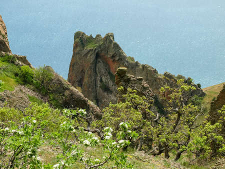 Scenic coastal cliffs of volcanic origin on shore with flowering trees on a foreground on a...