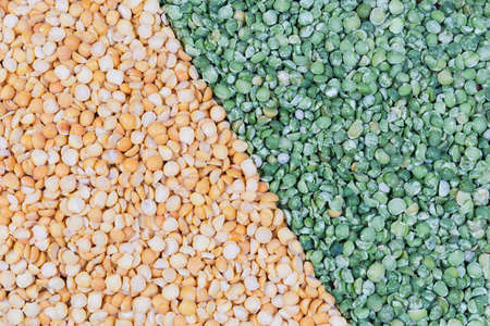 Background of the raw dried split peas scattered on the surface, green and yellow varieties separately, top viewの写真素材