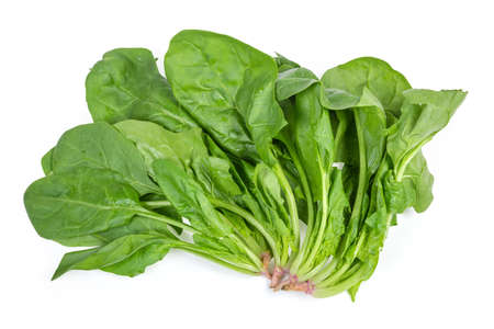Stems with leaves of the fresh young spinach on a white background, top view