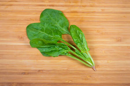 Single stem with several leaves of the fresh young spinach on the bamboo wooden cutting board, top viewの写真素材