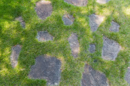 Background of fragment of the lawn with laid out flat natural stones among sprouted grass in summer sunny day, top viewの写真素材