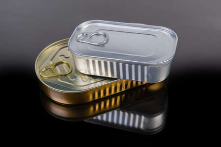 Canned fish in two different sealed oval tin cans with easy openable lid on a dark reflective...