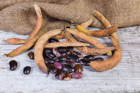 Dry kidney bean pods and husked ripe purple speckled kidney beans on the old cracked wooden surface...