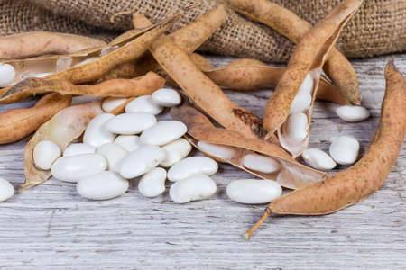Dry kidney bean pods and several husked ripe white kidney beans on the old cracked wooden surface...