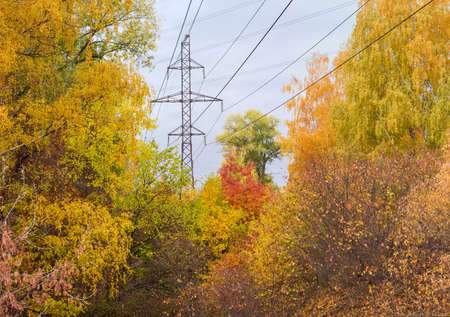 Steel lattice transmission tower of overhead power line over of the trees with autumn leaves on a background of cloudy skyの写真素材