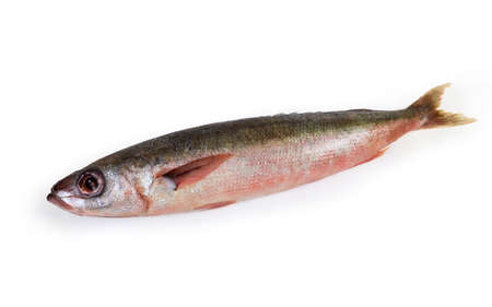 Single carcass of raw Redbait fish, also known as Bonnetmouth or Emmelichthys nitidus on a white...