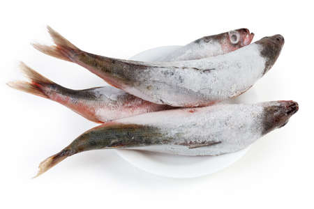 Carcasses of frozen Redbait fish also known as Bonnetmouth or Emmelichthys nitidus on white dish...