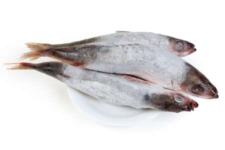 Carcasses of frozen Redbait fish also known as Bonnetmouth or Emmelichthys nitidus during defrosting...