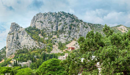 Rocky mountain range overgrown with single trees and seaside village at his foot, old juniper tree...