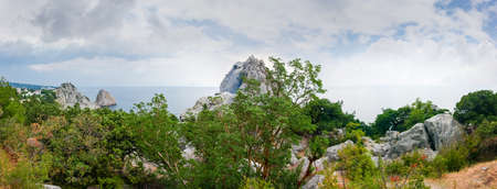 Section of the sea shore with steep rocks and overgrown with forest against sky with clouds,...