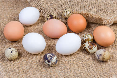 Uncooked brown and white chicken eggs and quail eggs on the sackclothの写真素材