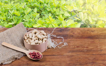 Peeled and unshelled peanuts located left on the old wooden surface with empty rest against the peanut plants in selective focus, backgroundの写真素材