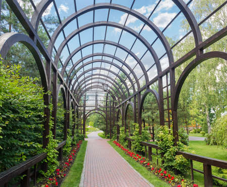 Part of the wooden pergola with arched top separately standing in summer park
の写真素材