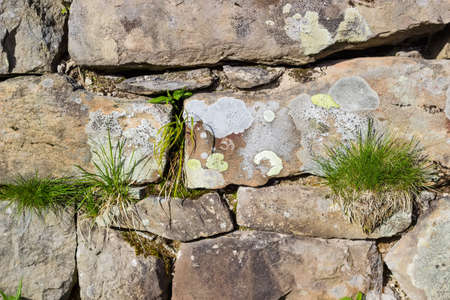 Background of old stone masonry of abandoned building, covered with lichens and overgrown with grass and moss, fragment close-upの写真素材