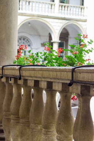 Fragment of the balustrade with stone balusters and decorated with flowers in an arched gallery of an old building, close-up in selective focusの写真素材