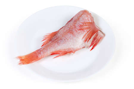 Uncooked headless gutted carcass of redfish also known as ocean perch or Norway haddock on the white...