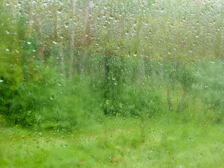 Window pane during a rain, blurred vegetation through the wet glass covered with water streams and...