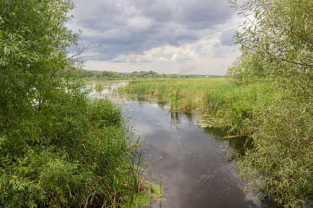 Plain lake with still water overgrown with marsh plants surrounded by willow thickets against the...
