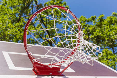 Basketball basket installed on a basketball backboard on the outdoor sports field, bottom view againsr the trees branches and skyの写真素材