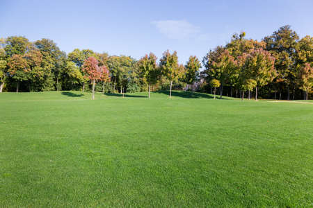 Lawn with mown grass on a background of the autumn forest and skyの写真素材