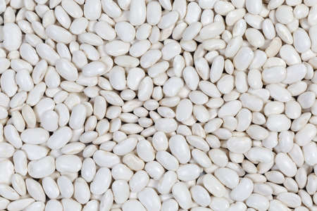 Raw husked large white kidney beans scattered evenly, view close-up, background
