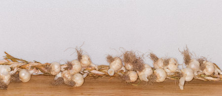 Harvested dry garlic braided together in the form of a long wreath lying on a wooden surface on a light background, panoramic view, backgroundの写真素材