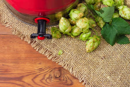Hop cones and fragmeny pf bottom part of disposable beer mini keg with built-in beer tap on...