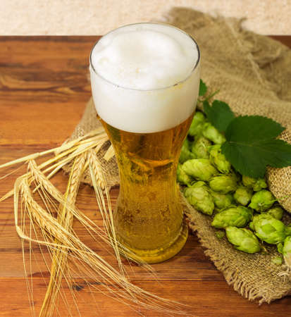Beer glass with lager beer among the hop cones on a sackcloth and barley ears on an old rustic tableの写真素材