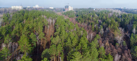 Hilly terrain overgrown with mixed coniferous and deciduous forest in early spring with multistory building on the horizon, aerial panoramic viewの写真素材