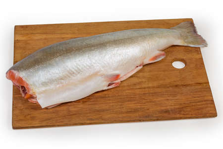 Whole carcass of the fresh gutted uncooked arctic char without head on the wooden cutting board on a white backgroundの写真素材