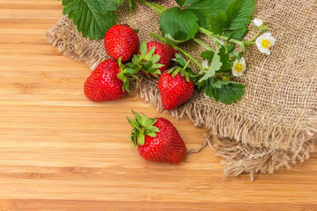 Several freshly harvested ripe garden strawberries and strawberry stems with flowers and leaves on a wooden surface with sackclothの写真素材