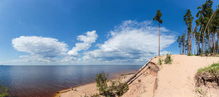 Precipitous sandy shore of the big reservoir with growing tall pines against sky with clouds in summer day, panoramic viewの写真素材
