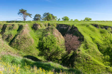 Gorge slope with steep ravines, overgrown with grass and single trees against the sky in springtime