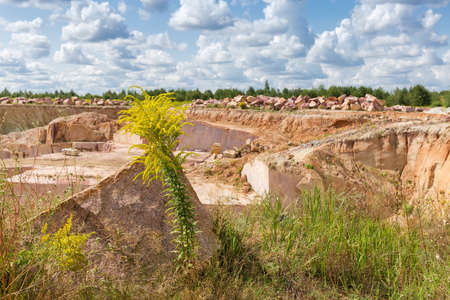 Block of red granite lie among the different flowering grass on a blurred background of granite quarry in summerの写真素材