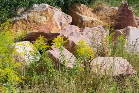 Large blocks of red granite with torn edges with marks of imploding works lie among flowering grass...