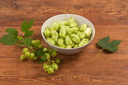 Seed cones of the hop in the bowl and hop branches on the old rustic tableの写真素材