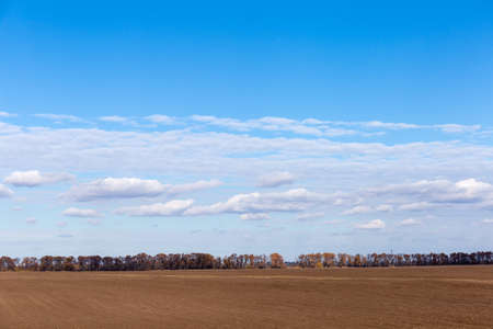 Plowed and harrowed flat agricultural field on a background of the distant forest and partly cloudy...