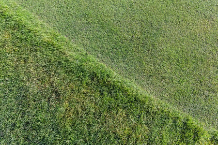 Section of the lawn with green undersized grass trimmed to different heights. Top view, texture,...
